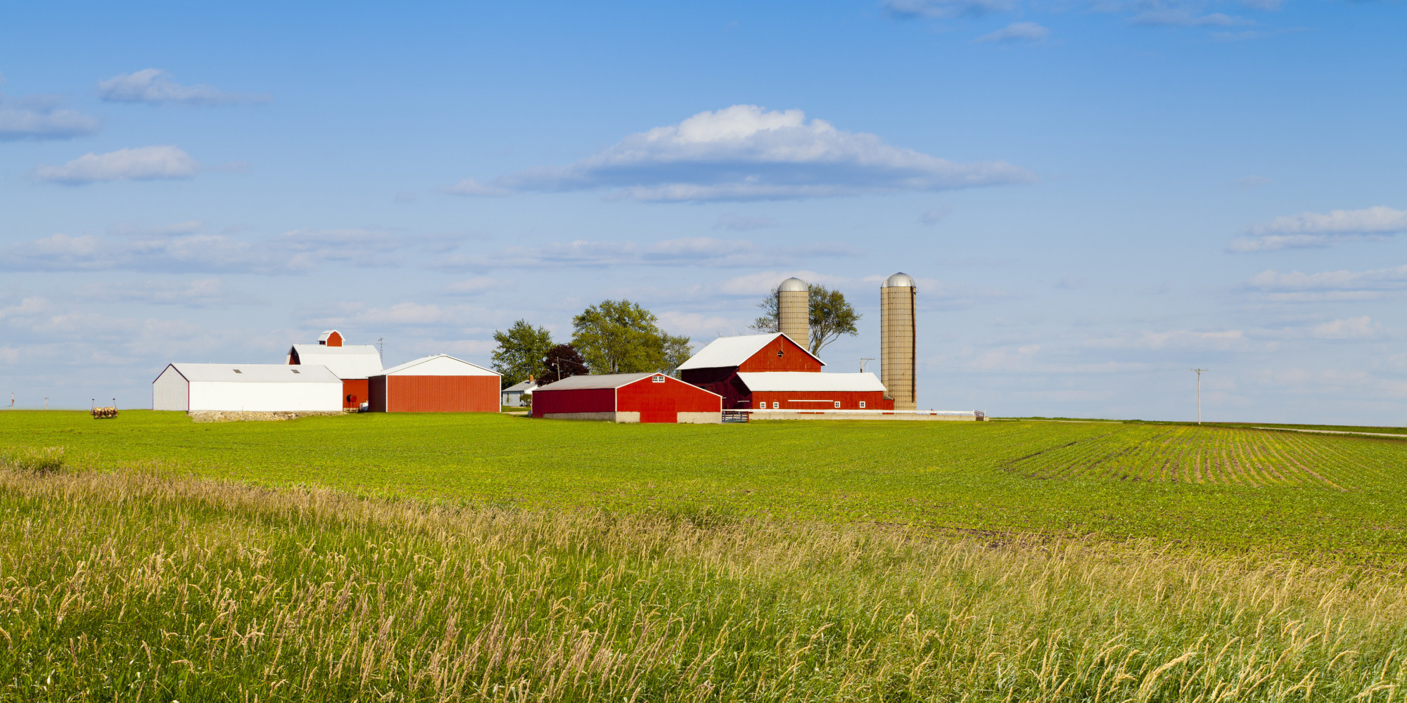 200-000-work-permits-issued-under-the-seasonal-agricultural-worker