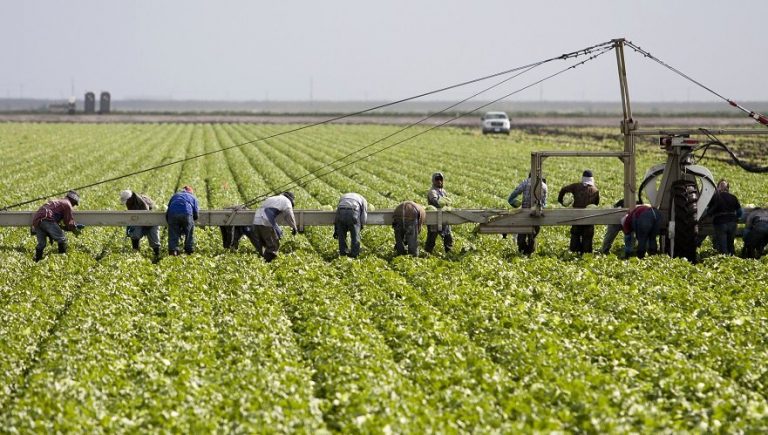 hiring-foreign-workers-in-canada-employmentboom